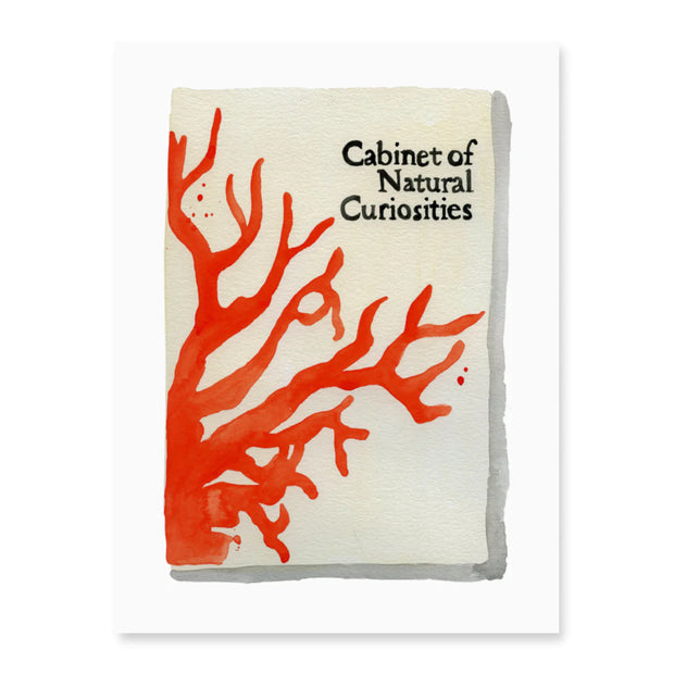 Watercolor Print of "CABINET OF NATURAL CURIOSITIES"