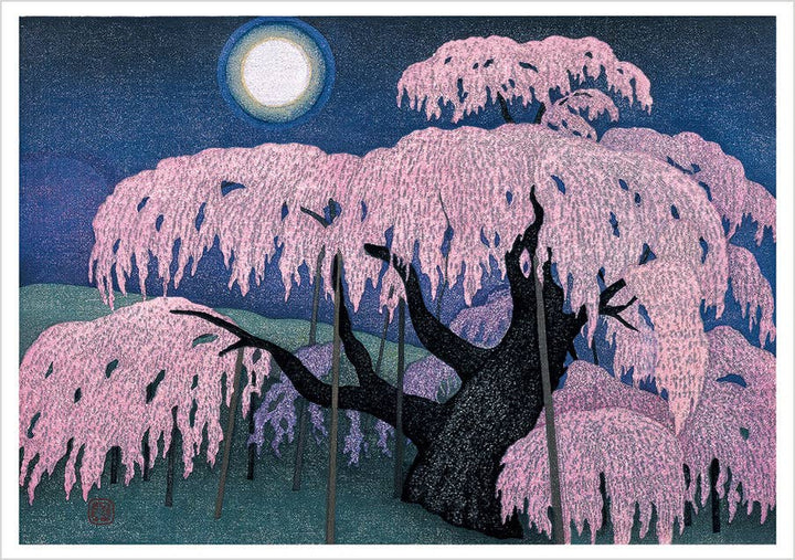 Kazuyuki Ohtsu: Cherry Trees Boxed Notecard Assortment