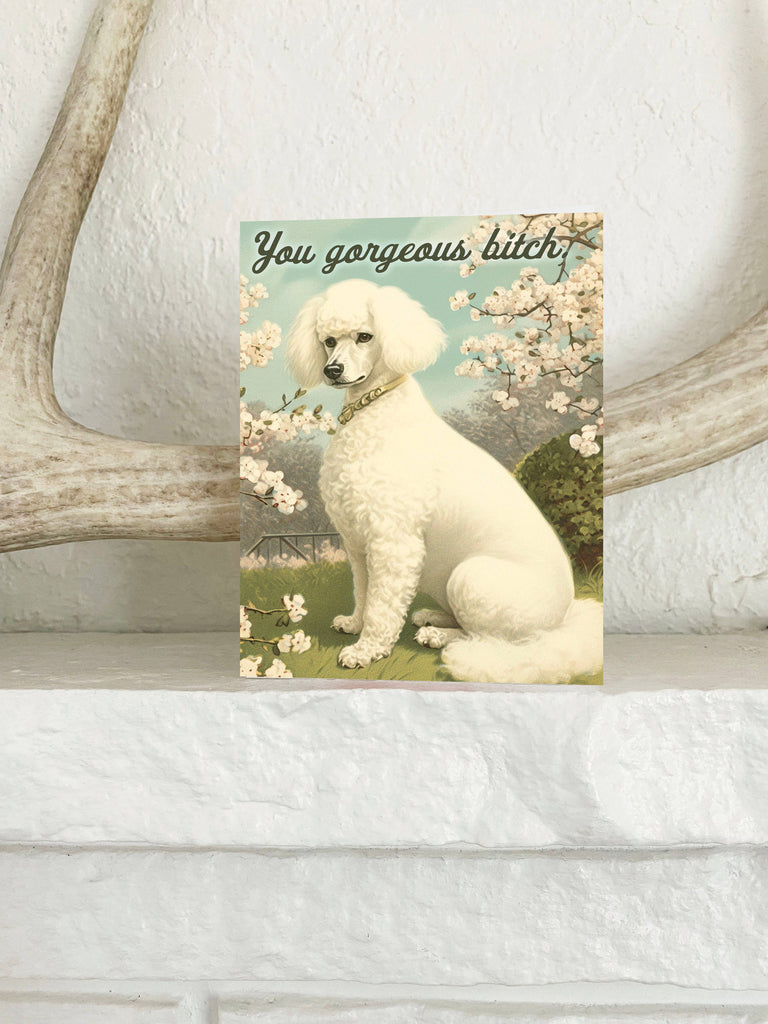 You Gorgeous Bitch Funny Dog Card Encouragement Love