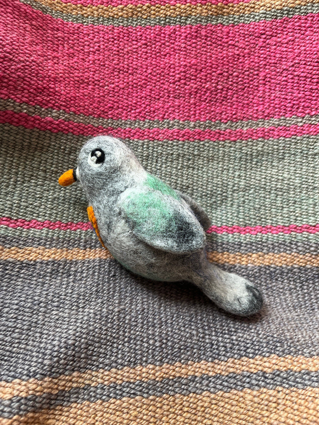 Pigeon - Grey