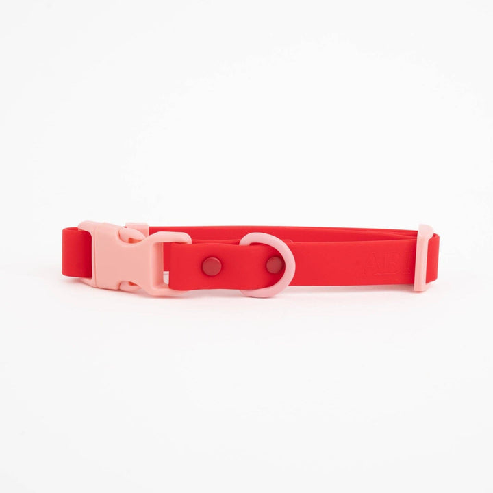 The Fritz Collar: Medium / blue orange