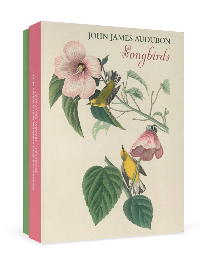 John James Audubon: Songbirds Boxed Notecard Assortment