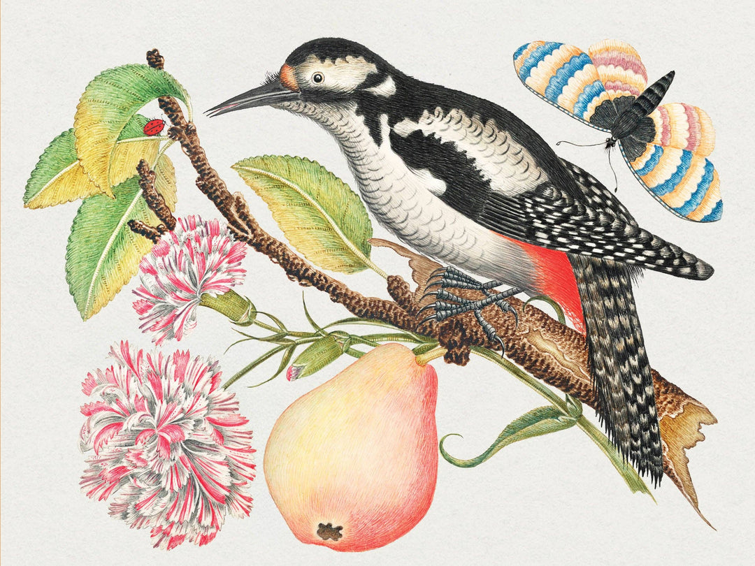 Flowers, Birds & Butterflies Celebrations Boxed Notecards