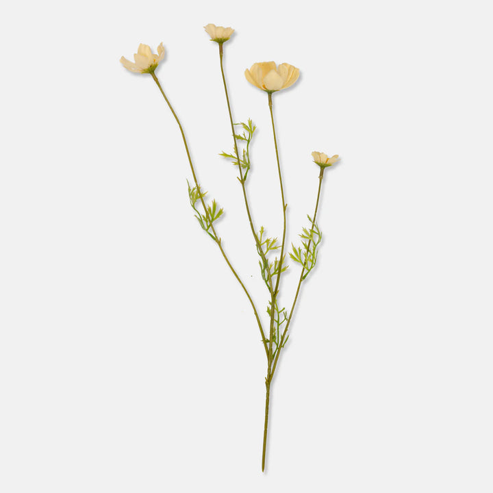 Artificial Cosmos Meadow, Buttermilk