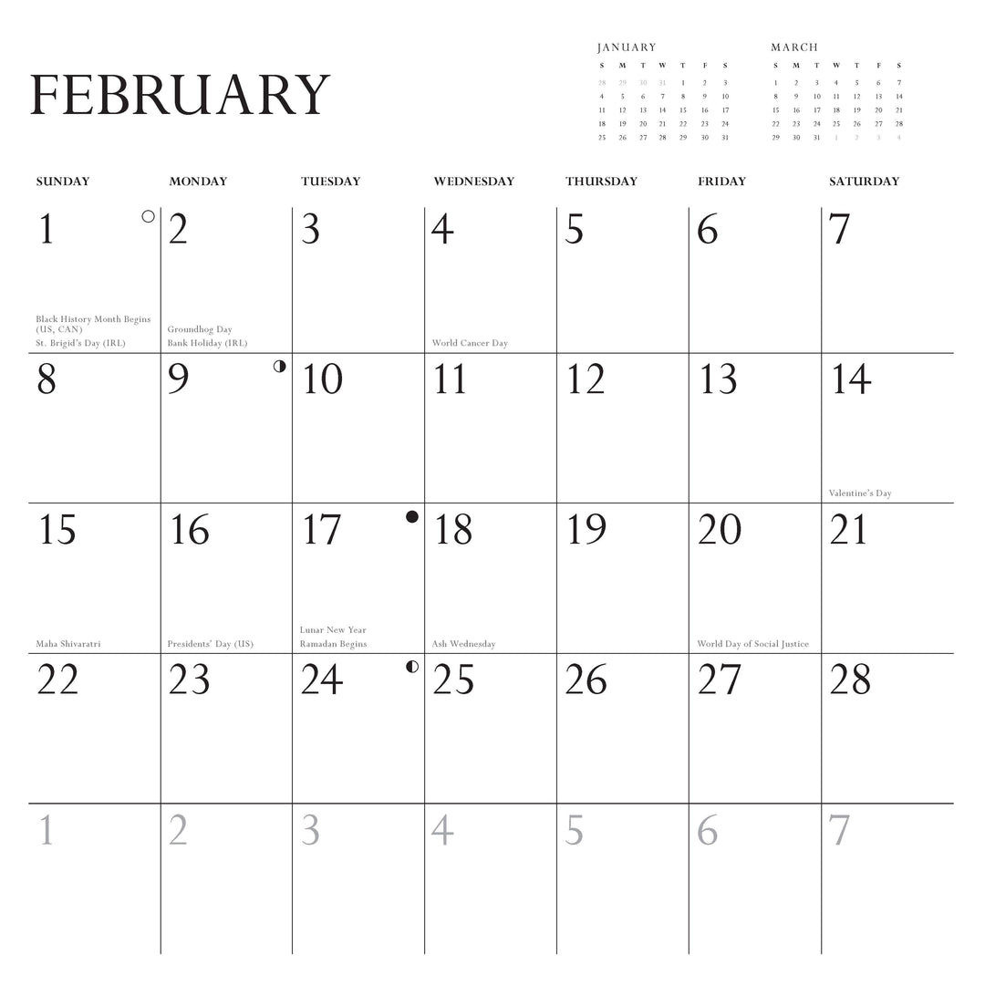 Disappointing Affirmations 2026 Wall Calendar