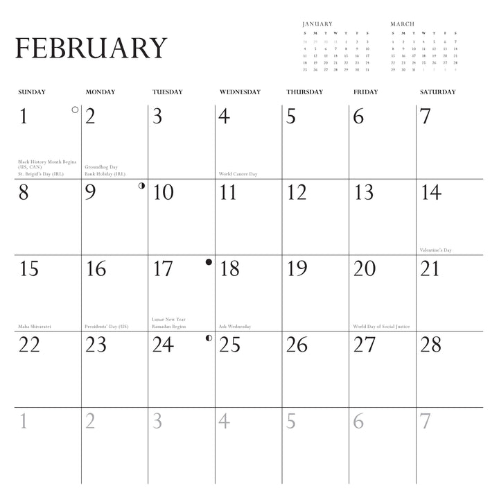 Disappointing Affirmations 2026 Wall Calendar