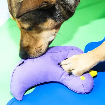 The Fritz Bird Dog Toy