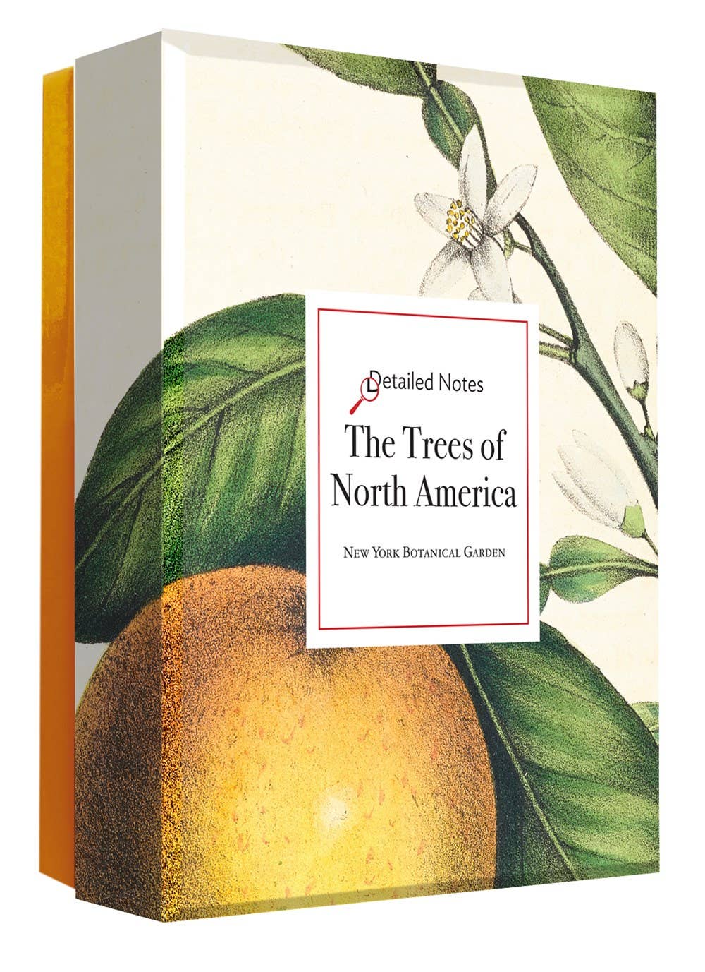The Trees of North America note cards
