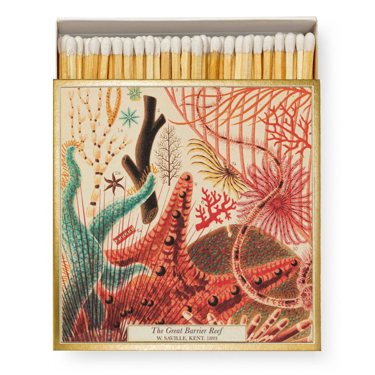 Coral & Reef Safety Matches