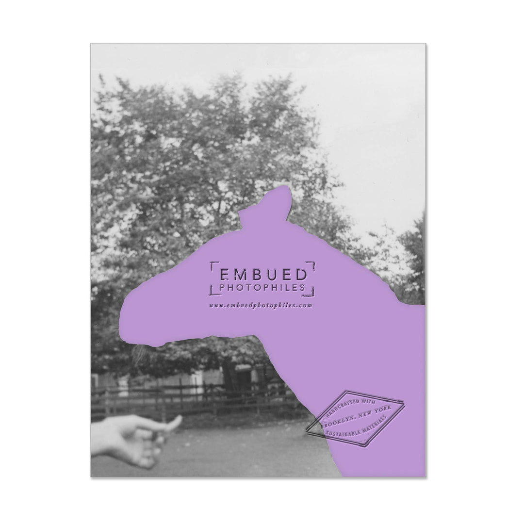 Zebra Happy Birthday Card