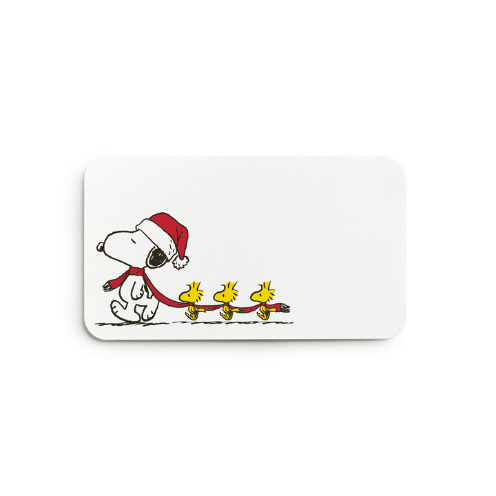E. Frances x Peanuts™ Snoopy Long Scarf Little Notes®