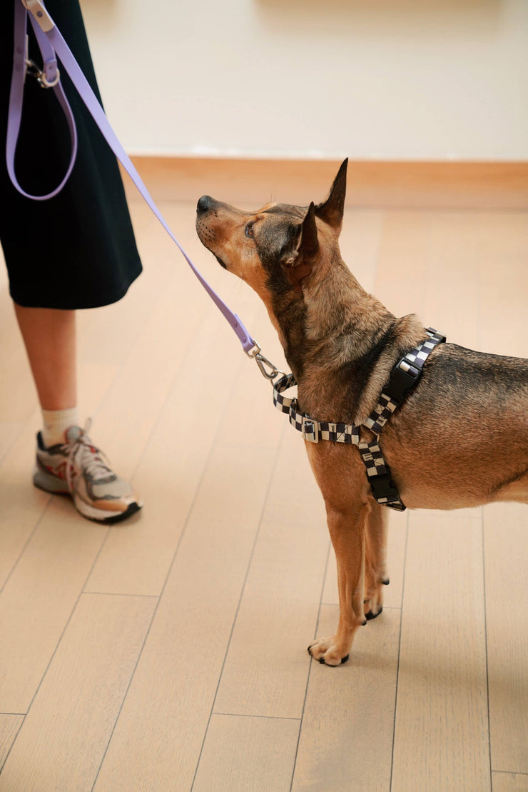 The Fritz Dog Harness | Adjustable, No-Pull & Reversible: Red Green / Medium