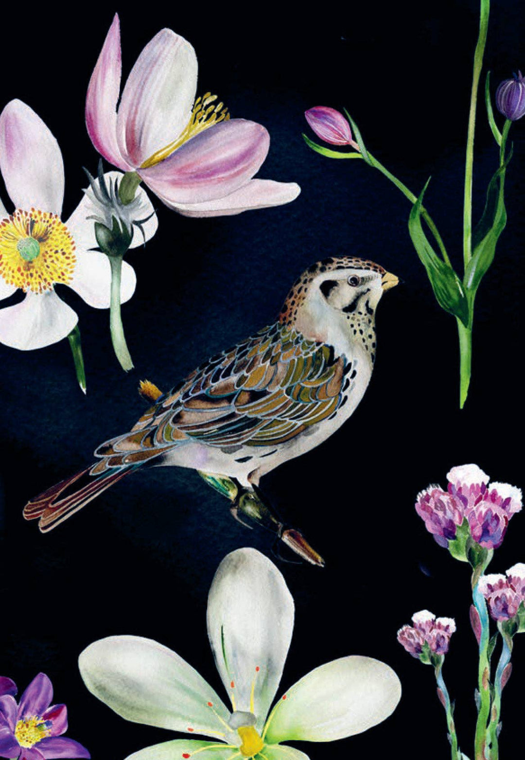 Bird Box: 100 Postcards by 10 Artists