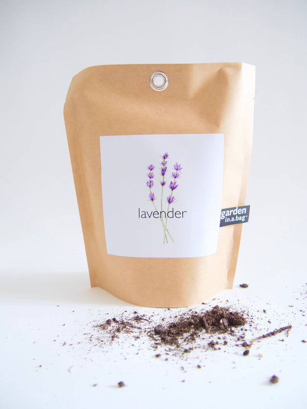 "Get Growing" Mindful Garden in a Bag Kit: Italian Parsley