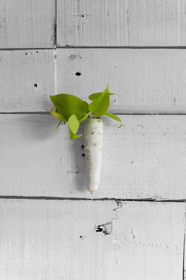 Carrot Wall Planter