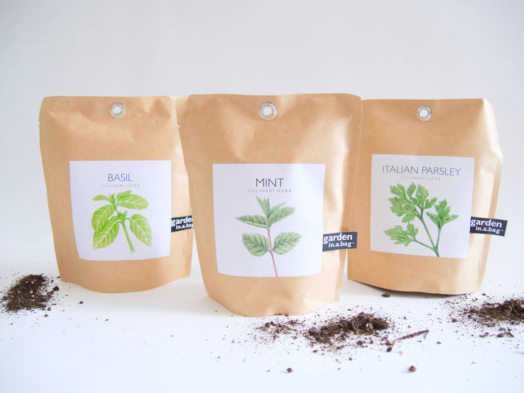 "Get Growing" Mindful Garden in a Bag Kit: Basil