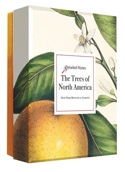 The Trees of North America note cards