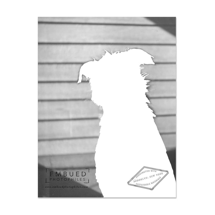 Dog with Bow HBD, Lovely Card