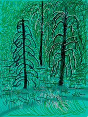 David Hockney: Paper Trails