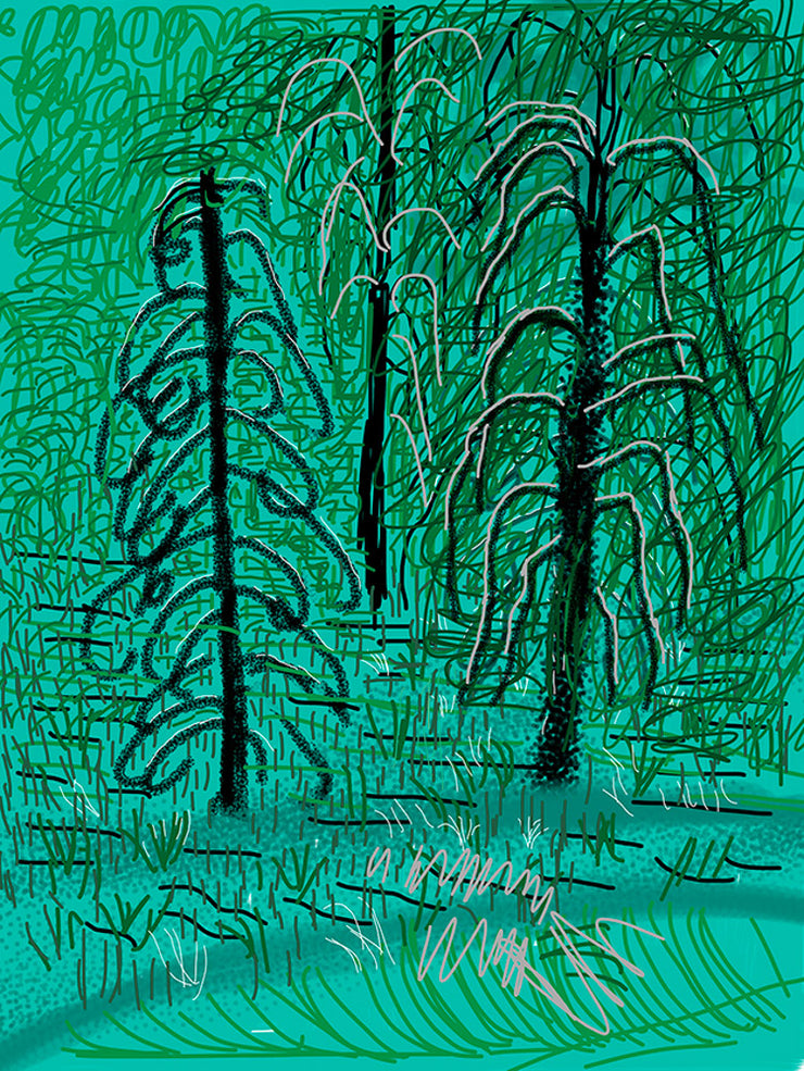 David Hockney: Paper Trails