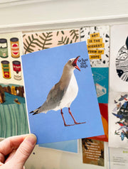 What the Shit Funny Seagull Card - Sympathy Birthday