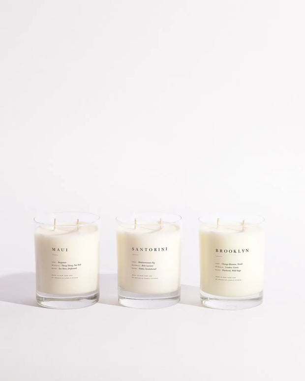 Fern + Moss Classic 2-Wick Candle