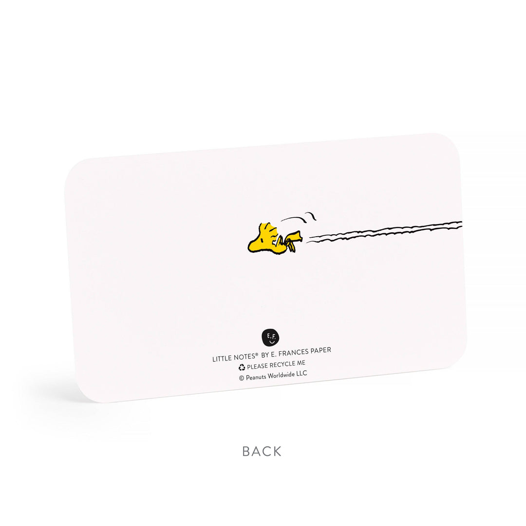 E. Frances x Peanuts™ Snoopy Dog House Little Notes®