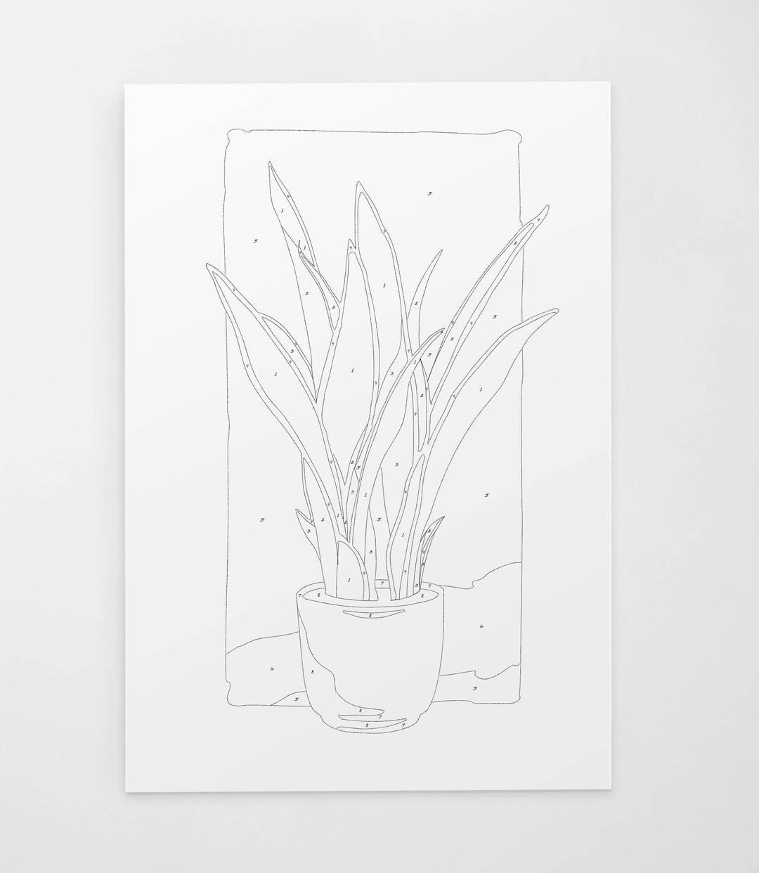 Potted Snake Plant | Modern Paint By Numbers Kit