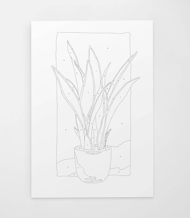 Potted Snake Plant | Modern Paint By Numbers Kit