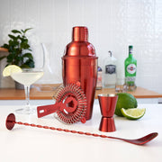 Stainless Steel Barware Set of 4 ASSORTED COLORS