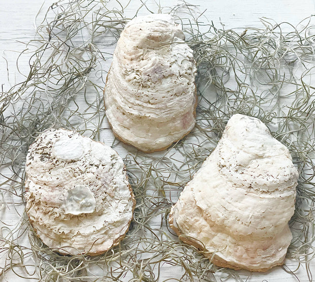 French Hydrangea Oyster Trinket Dish