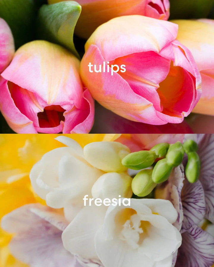 Bodega Bouquets Air Freshener