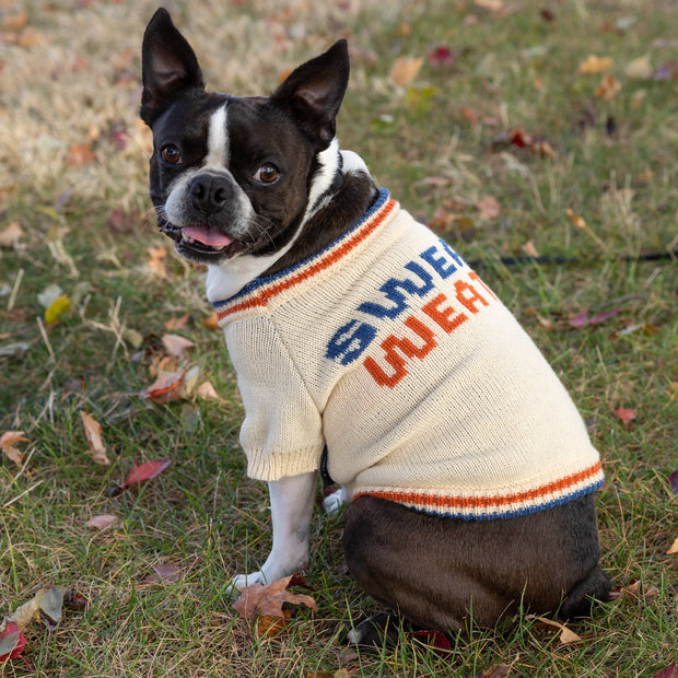 Brass Monkey Sweater Weather Dog Sweater