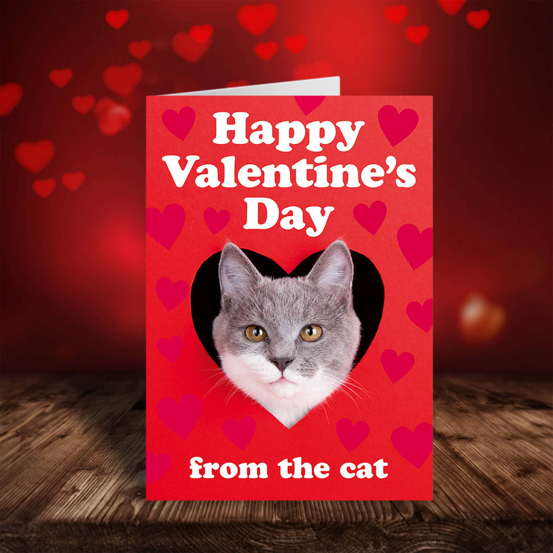 Happy Valentine's Day from the Cat Greeting Card