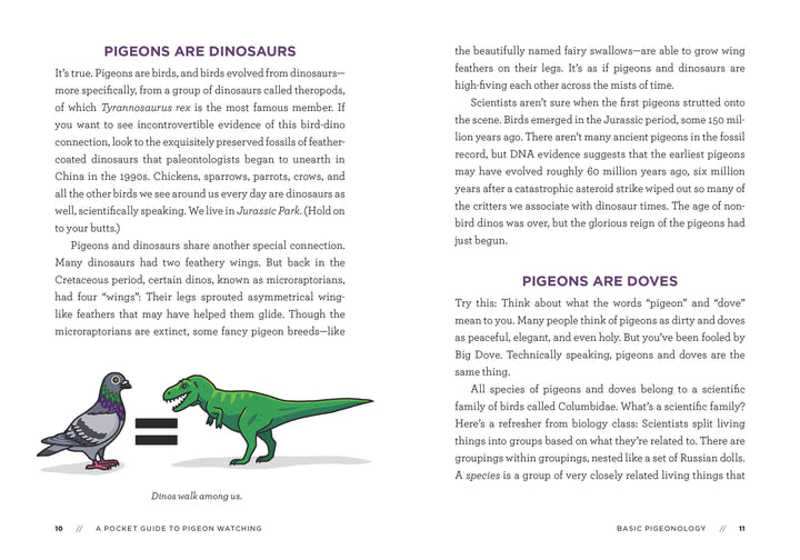 A Pocket Guide to Pigeon Watching