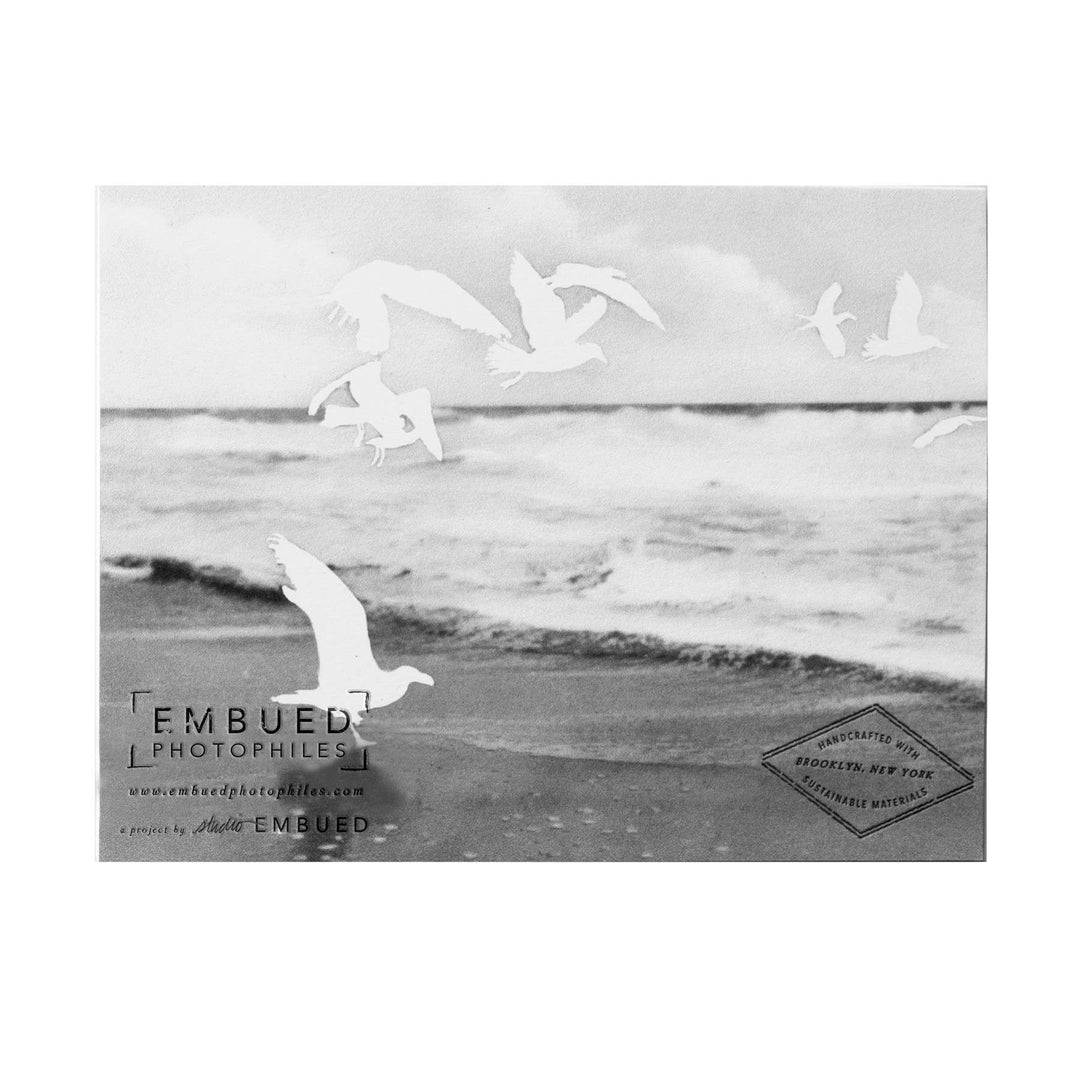 Birds Best of Luck on Your Next Adventure Card