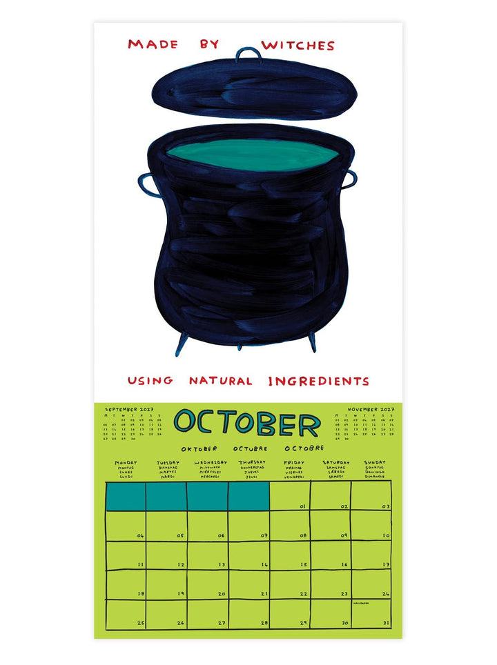 David Shrigley Official 2027 Wall Calendar