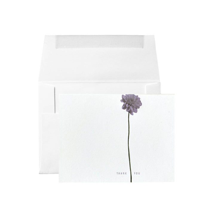 Dahlias Thank You Card
