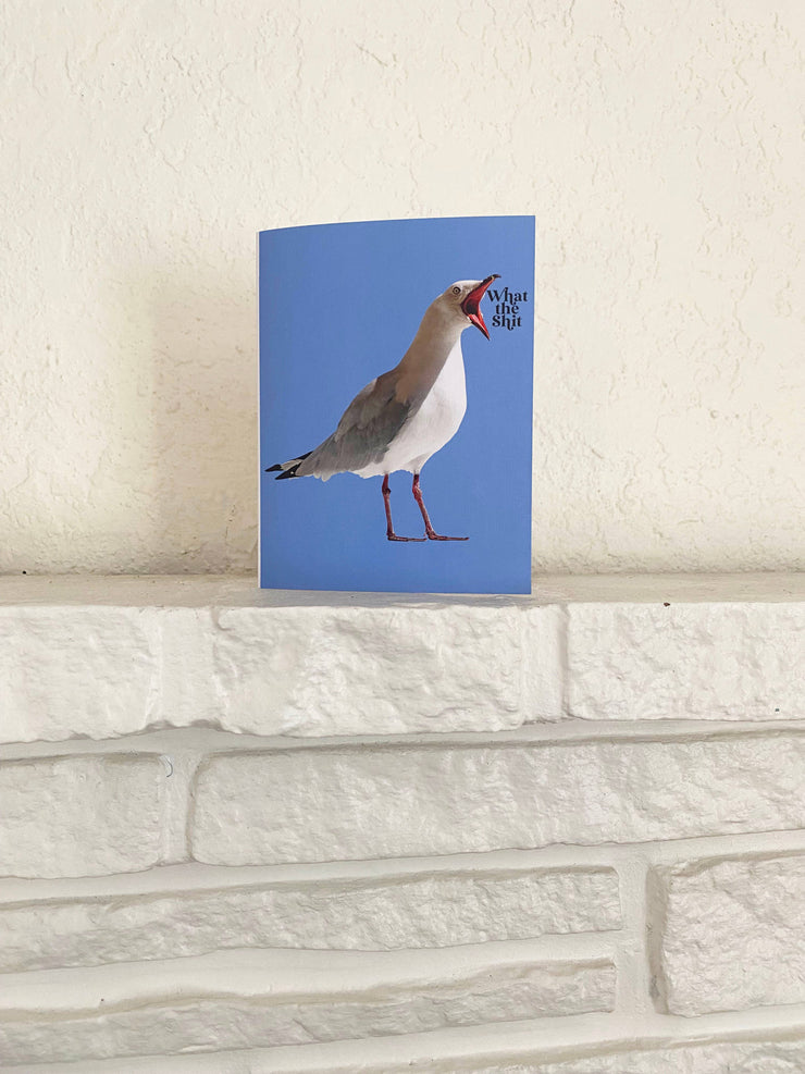 What the Shit Funny Seagull Card - Sympathy Birthday