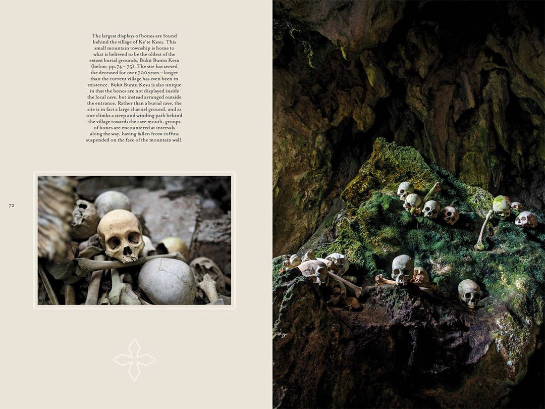 Memento Mori: The Dead Among Us
