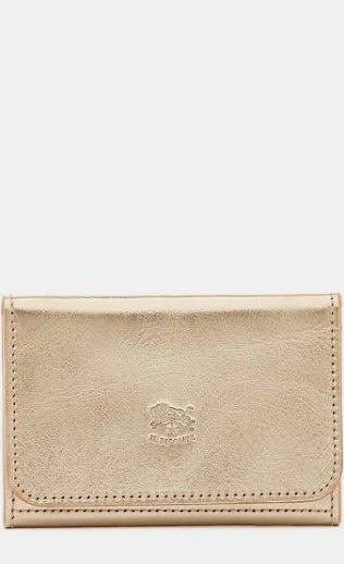 Galileo Card Case