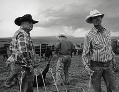 John Langmore Open Range