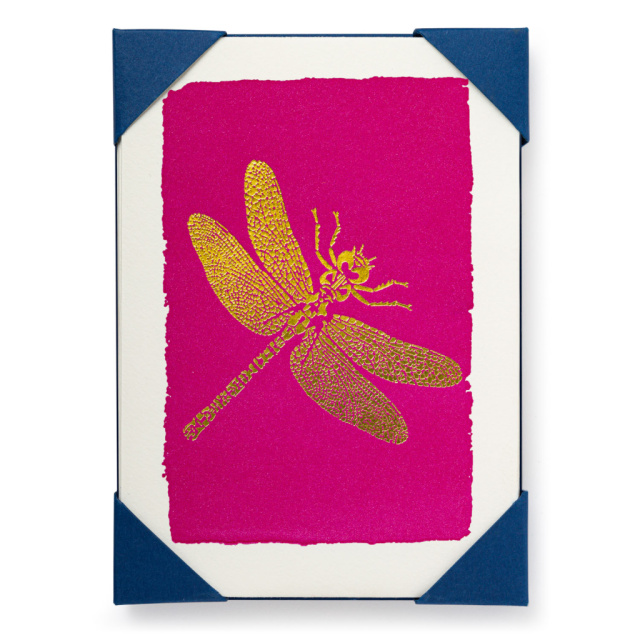 Dragonfly (5-Pack) Notelet Cards