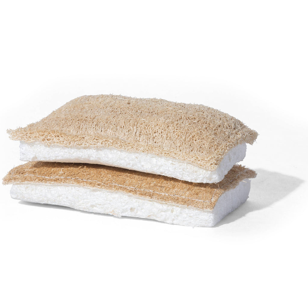 Sponge Single