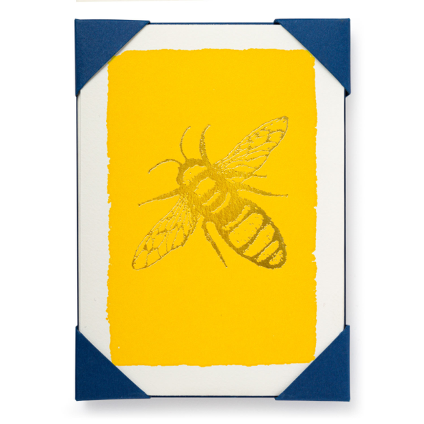 Bee Notecards (Pack of 5)