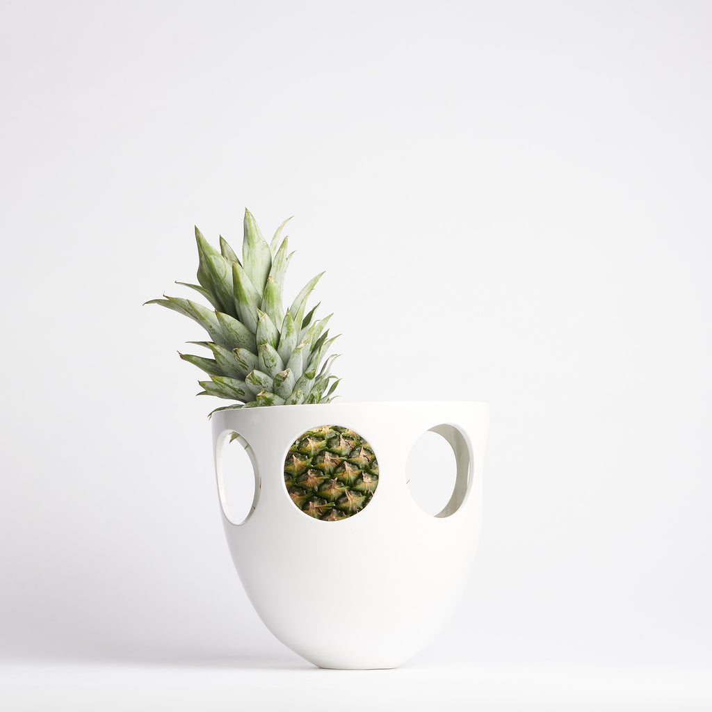 Chalet Bee Bowl