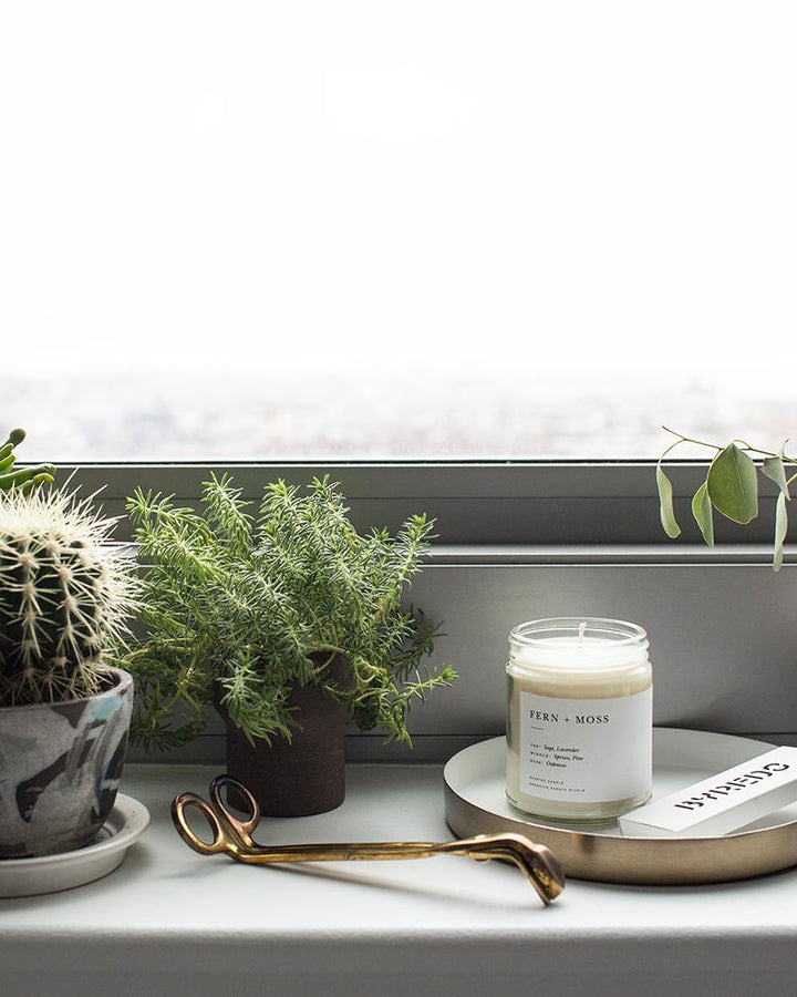Fern & Moss Jar Candle