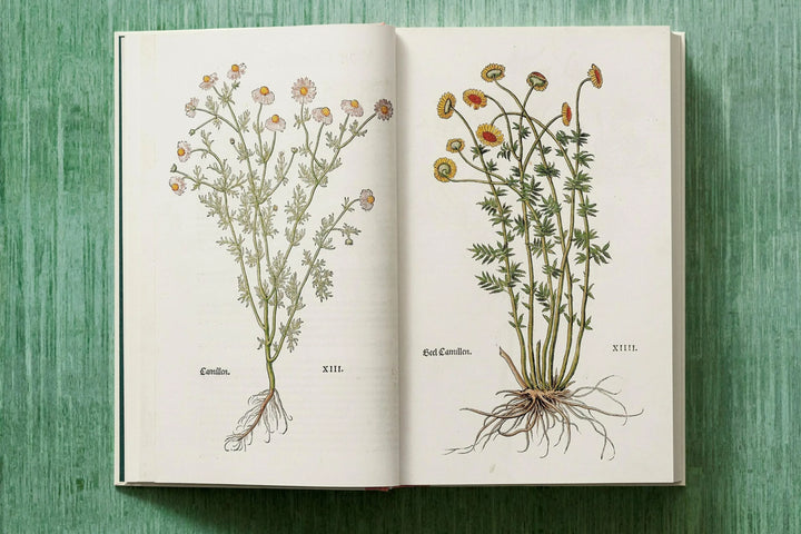 The New Herbal