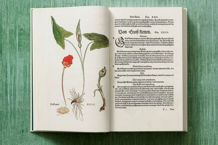 The New Herbal